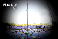 Borouge Flag Day2015 (low res)
